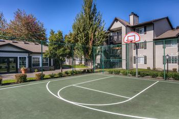 Basketball court